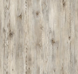 Dune Oak
