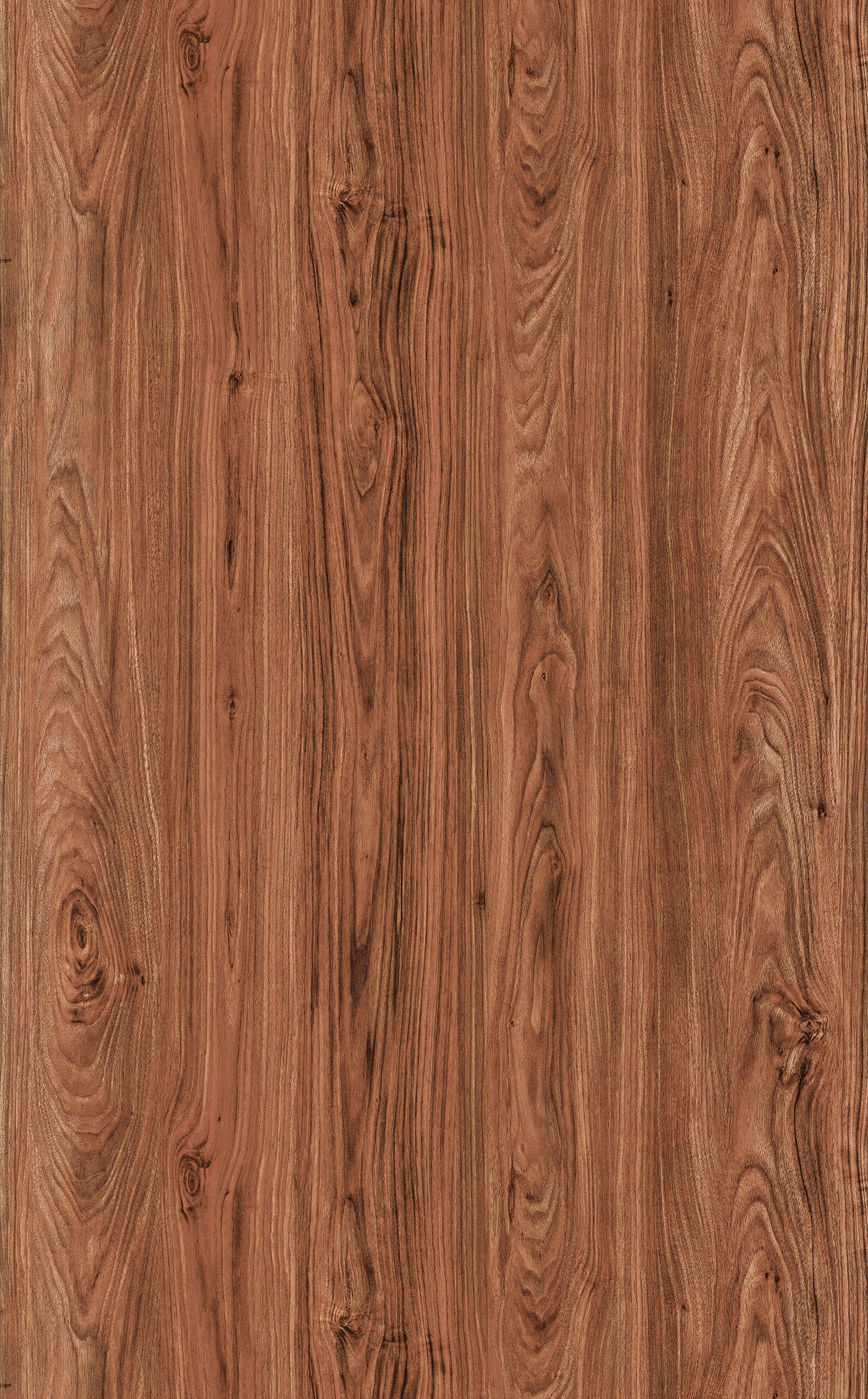 Cremona Walnut