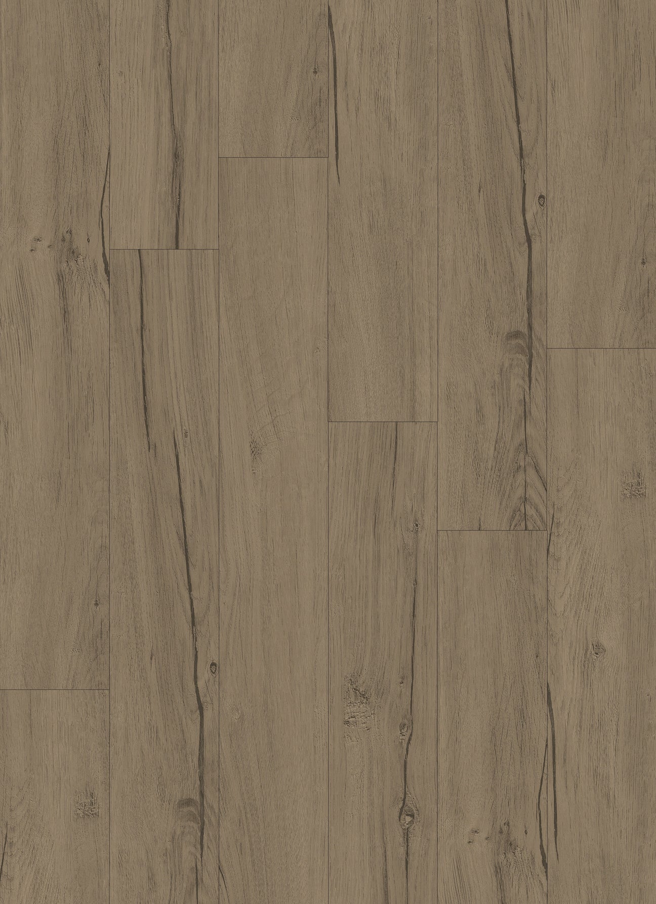 Vintage Drumshell Oak