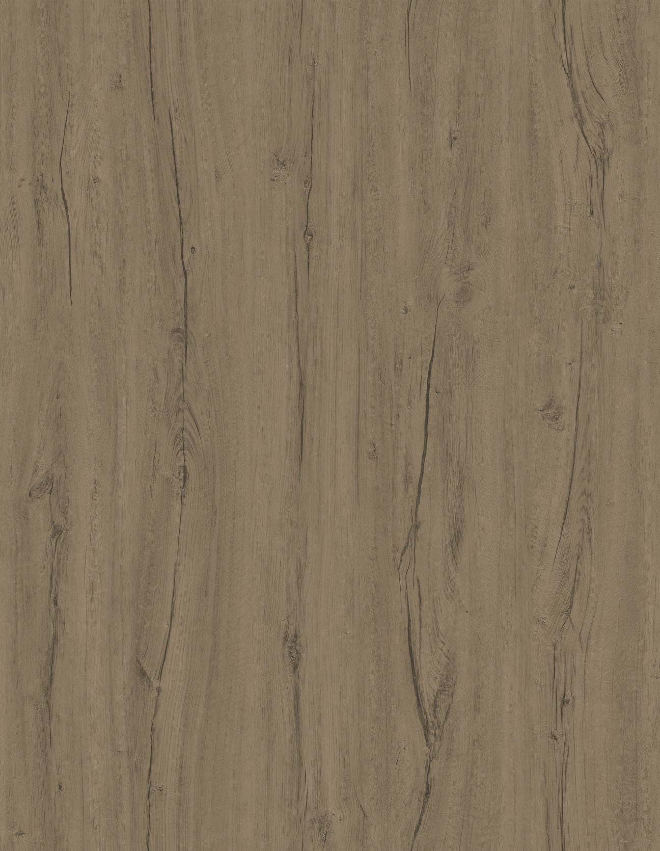 Vintage Drumshell Oak