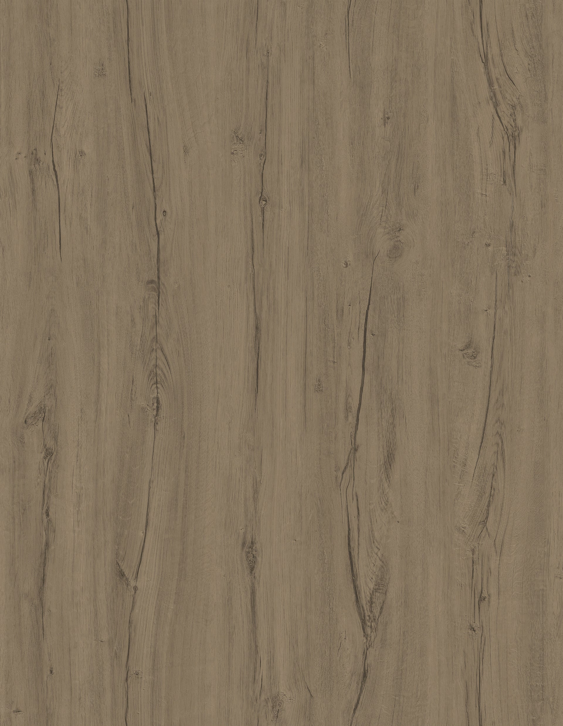 Vintage Drumshell Oak