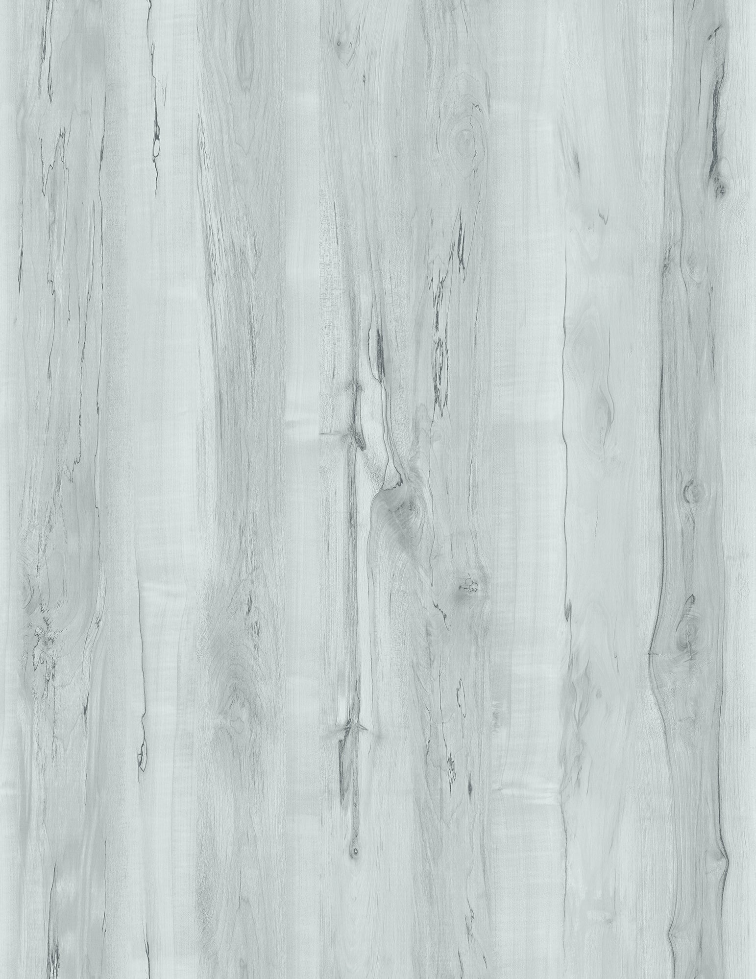 Rhapsody Grey Birch