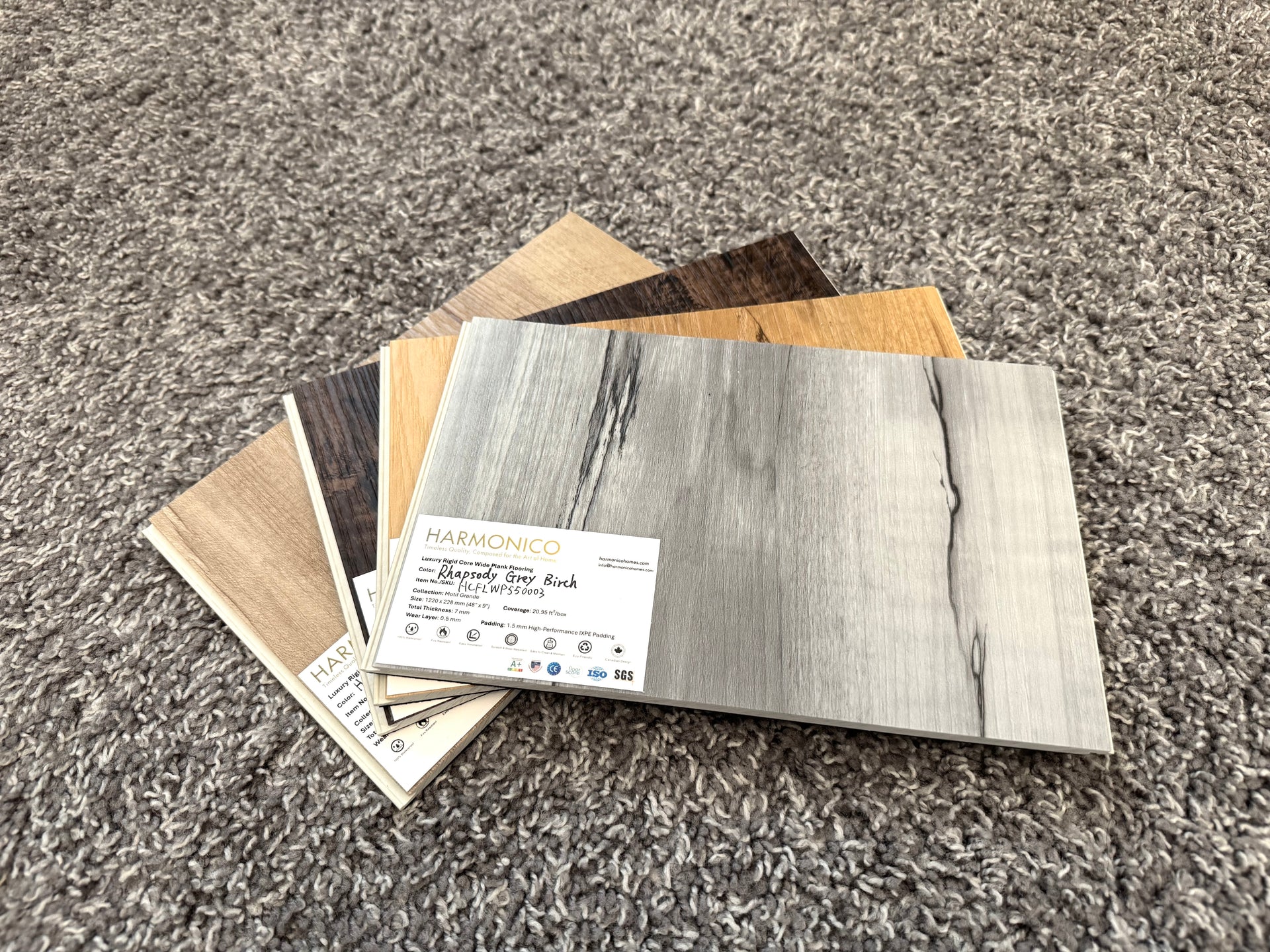Rhapsody Grey Birch – Sample